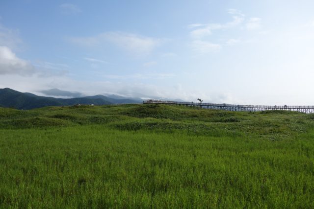 高架木道からの景色